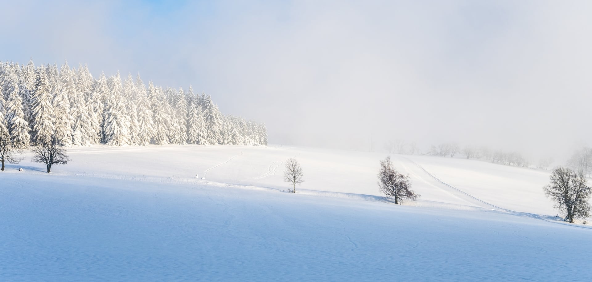 Weihnachtsvorverkauf Headerbild für Seiten auf Homepage Muttertags-Special